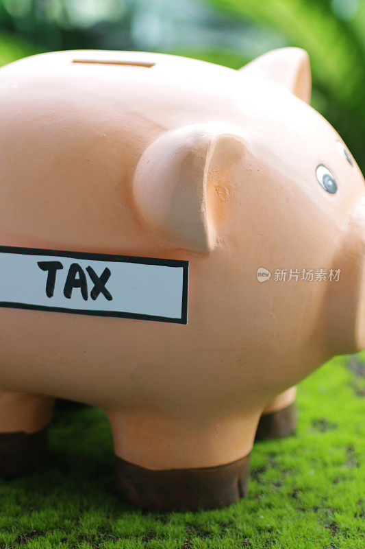 图像的小猪银行与插槽顶部与税务标签，家庭财务和储蓄的概念