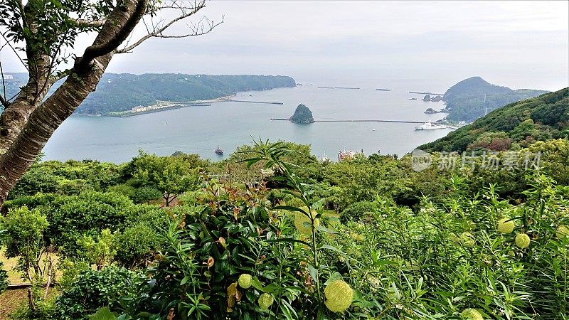 日本。7月。从下田索道顶端俯瞰美丽的全景。