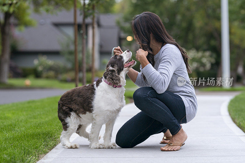 与宠物狗玩耍的欧亚女人