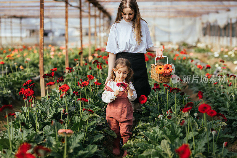 快乐的小女孩和她的妈妈在苗圃照顾鲜花