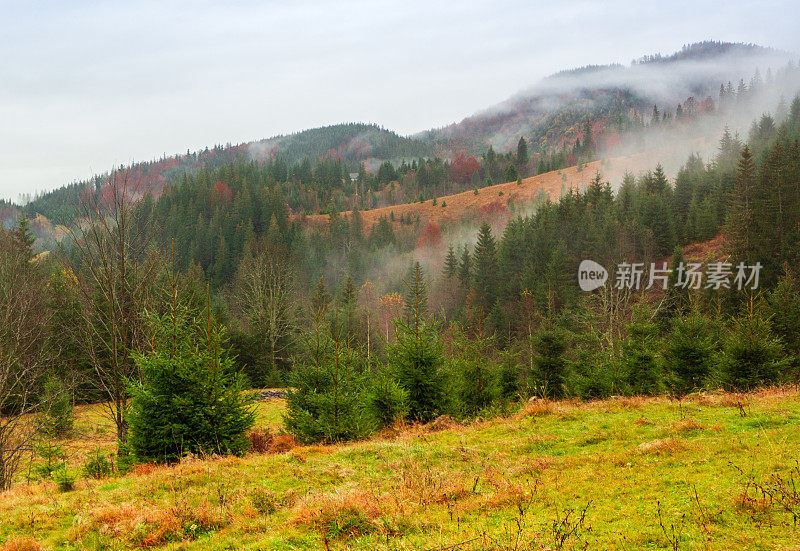 乌克兰,喀尔巴阡山。秋山中晨雾的时间流逝。风景有雪山和流动的雾。