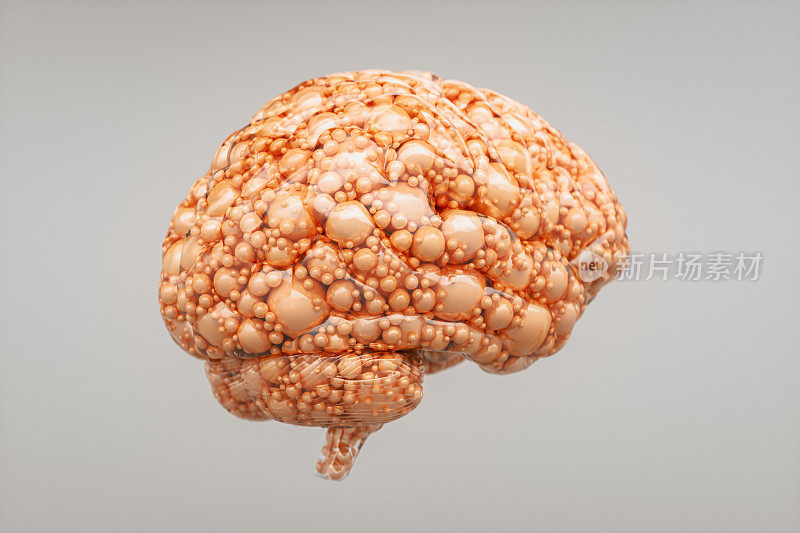 人类大脑中充满了球体