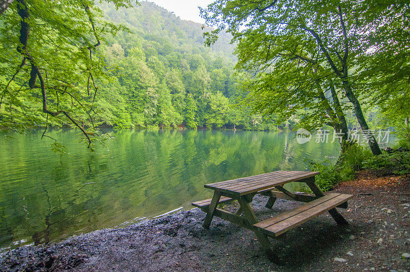 从Yedigöller国家公园的木凳上午时间-博鲁省，土耳其