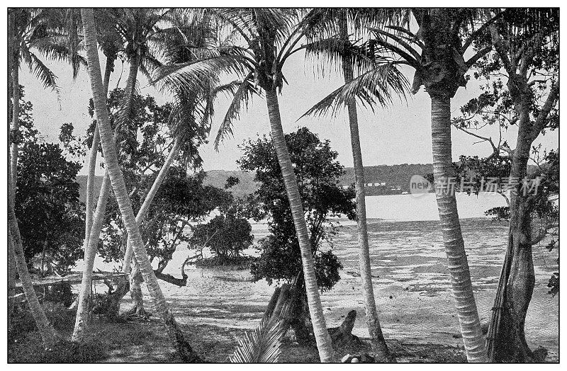 古董黑白照片:达古泮，吕宋岛，菲律宾