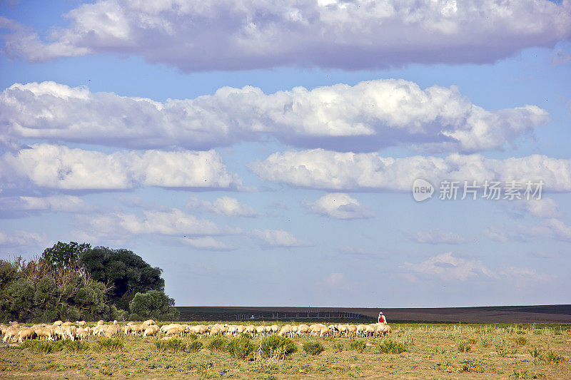 草原风景