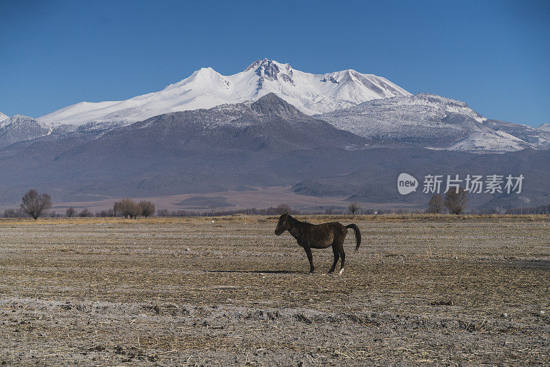 马和埃尔吉耶斯山景