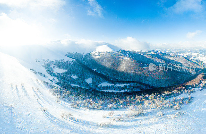 冬天的风景在雾与雪和树枝覆盖着白霜和冰冻的雪。高质量的照片