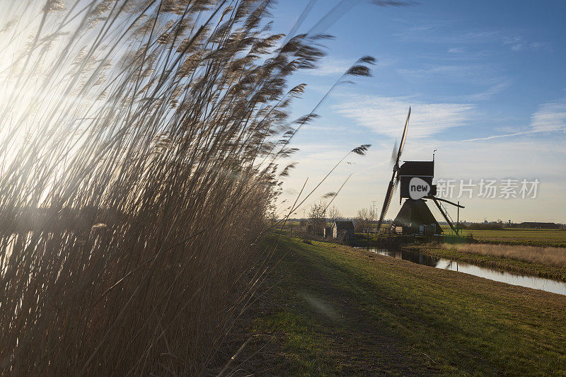 荷兰传统的Broekmolen风车映衬着蔚蓝的天空