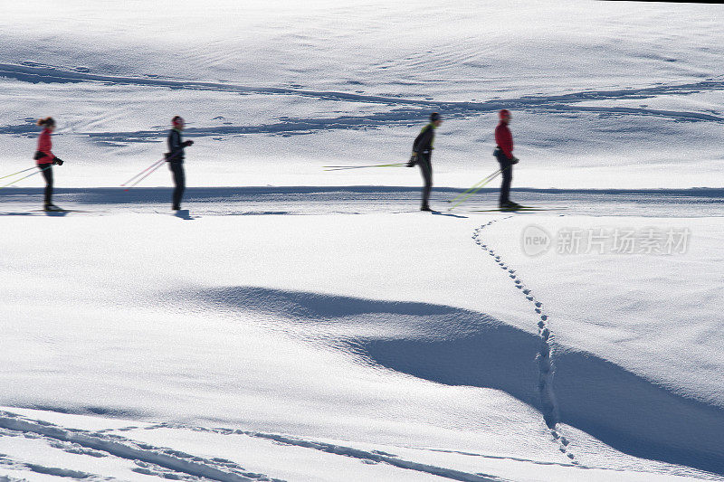 四个越野滑雪者看着一条跑道