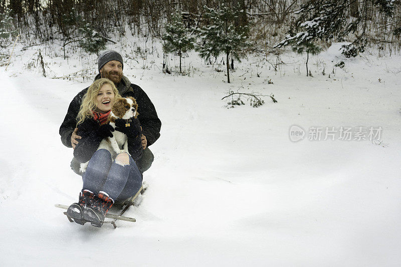 一对夫妇带着狗玩雪橇