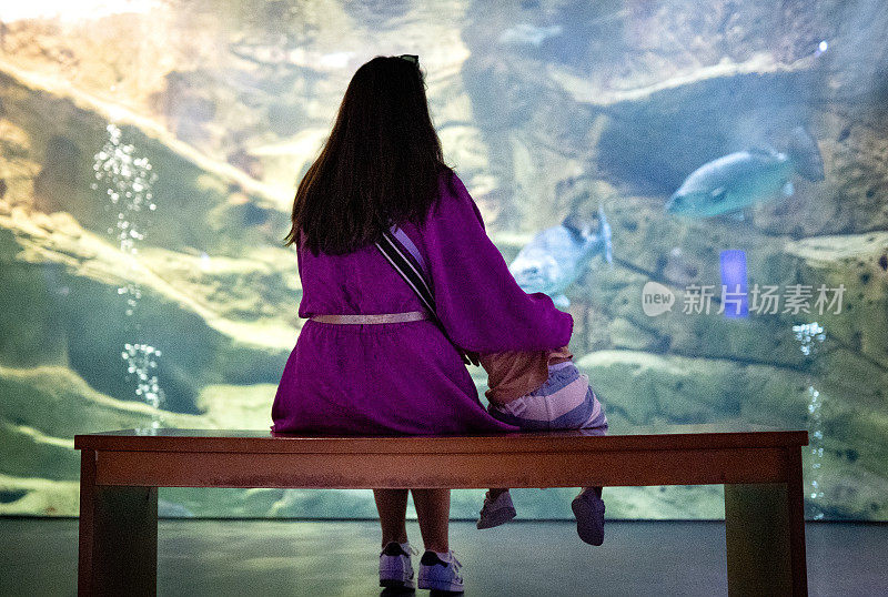 母亲和她的孩子观看海洋生物