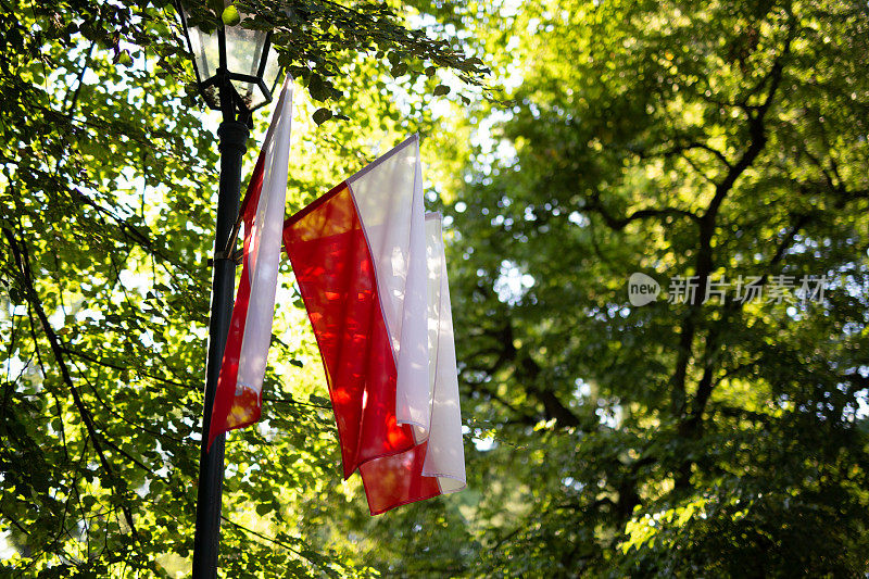 波兰国旗，波兰国旗