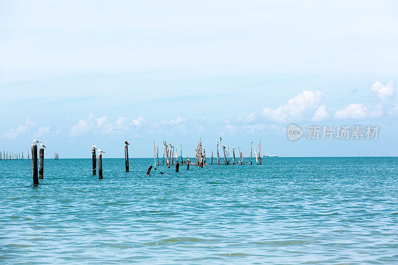 东岸湾海滩码头打桩