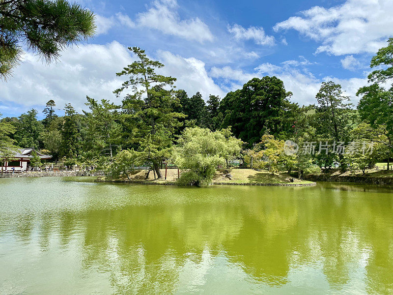 日本-奈良-奈良公园的池塘