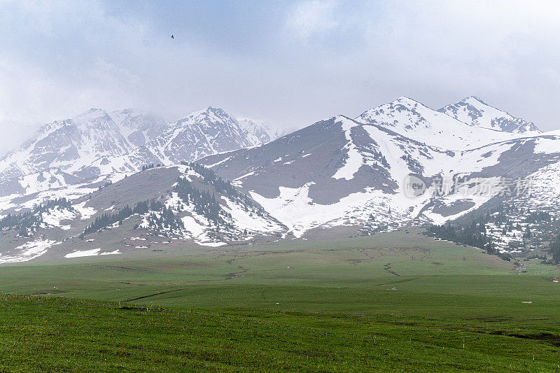 中亚，吉尔吉斯斯坦，天山，崇阿苏峡谷