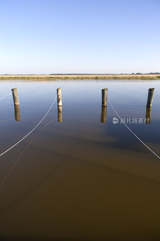 在波罗的海的一个海湾的水中用绳子绑着的木杆