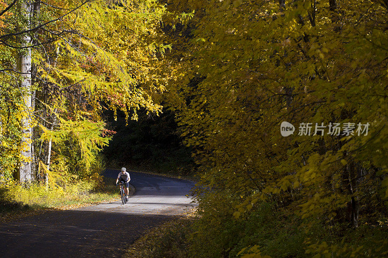 阳光日公路自行车骑行