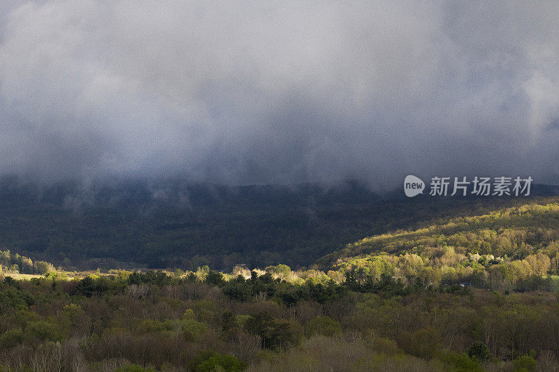 明亮的光线照亮了云下的森林