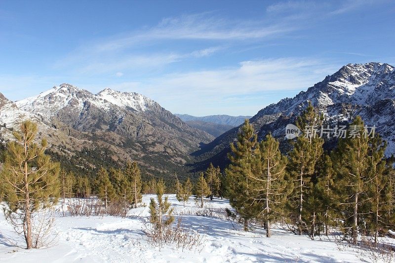 科西嘉阿斯库山谷的冬季场景