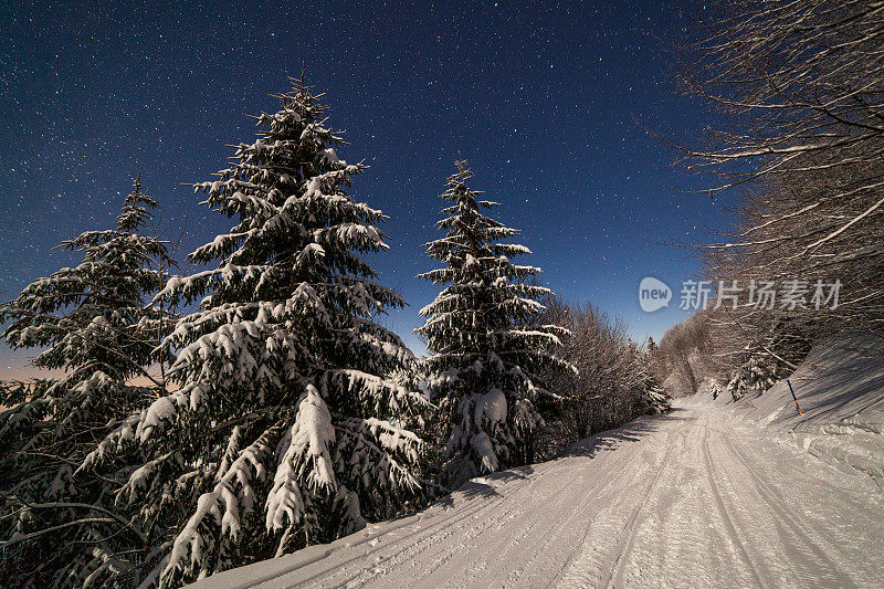 壮丽的星空笼罩着冬日的山景。夜景。月光下美丽的高大冷杉。喀尔巴阡山,乌克兰,欧洲。