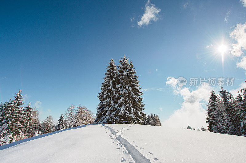 新雪中的小径