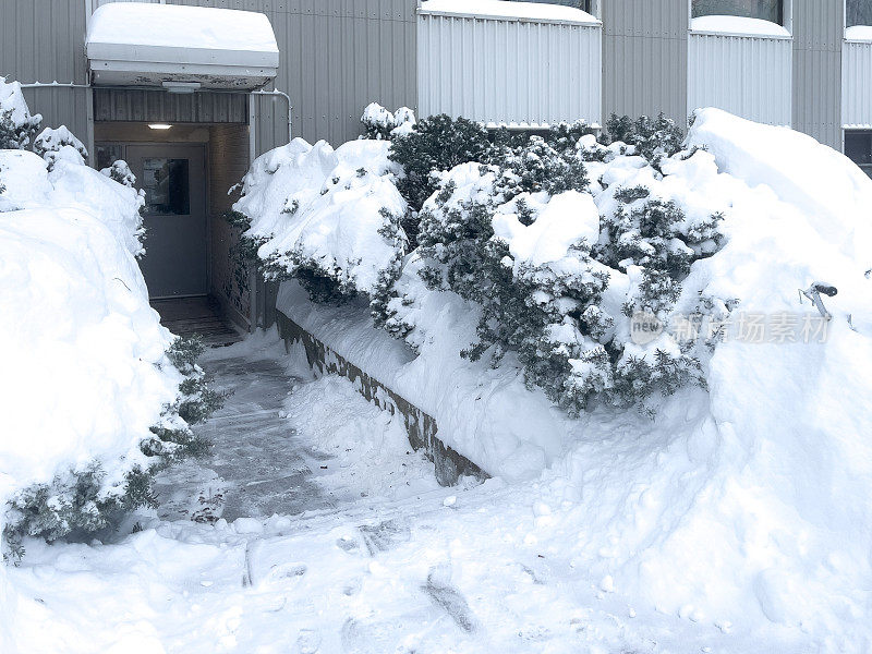 暴风雪天气