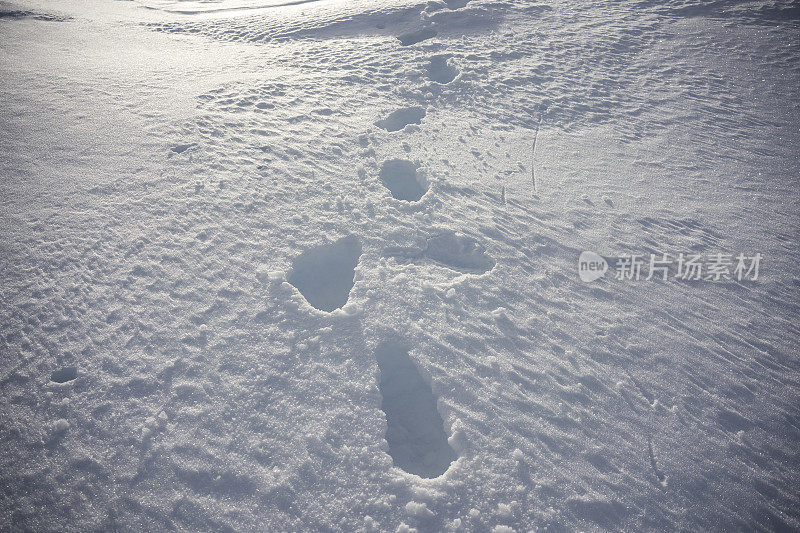 雪地里的脚印