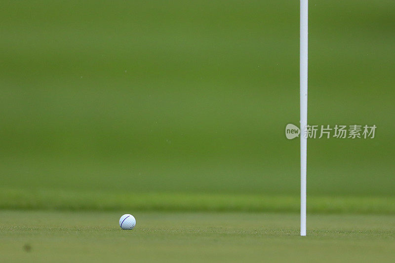 一个高尔夫球躺在果岭的球钉旁边