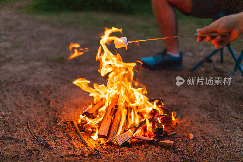 三个年轻朋友在篝火上烤棉花糖的特写