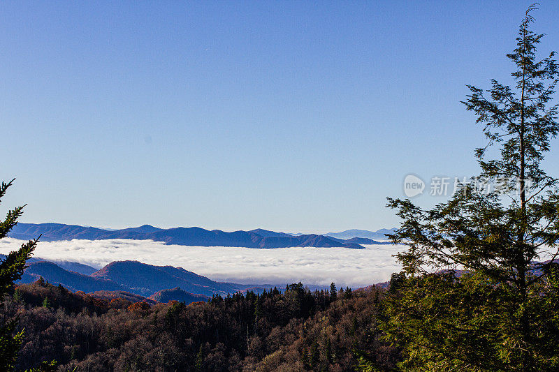 五颜六色的秋天树木和田纳西州的山景在2022年的秋天