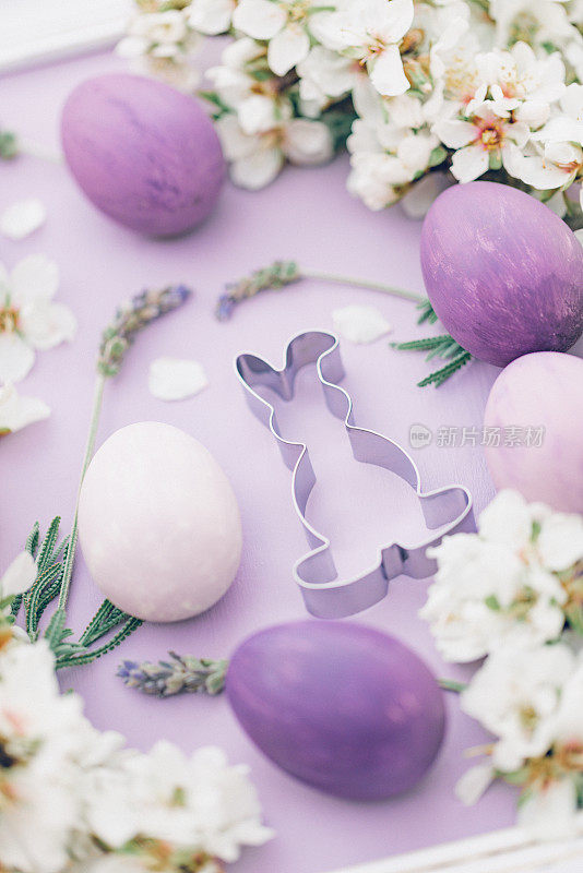 精致的复活节兔子形状与粉红色和紫色复活节蛋之间的杏仁花枝和薰衣草在紫色表面