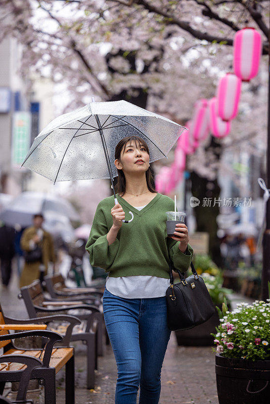 年轻女子走在樱花在城市在一个雨天抬头