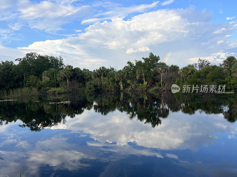 佛罗里达湿地