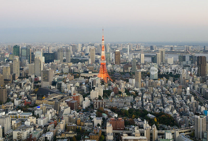 东京市中心黄昏鸟瞰图