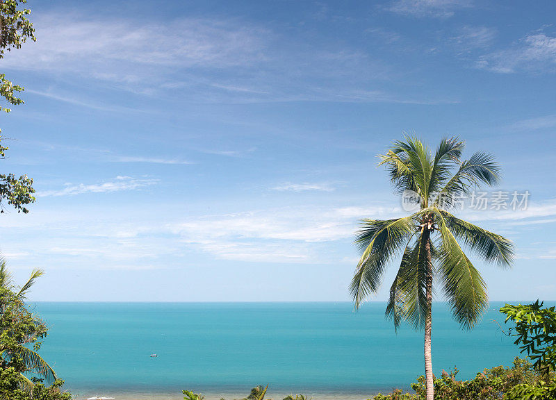 棕榈，海滩和蓝天