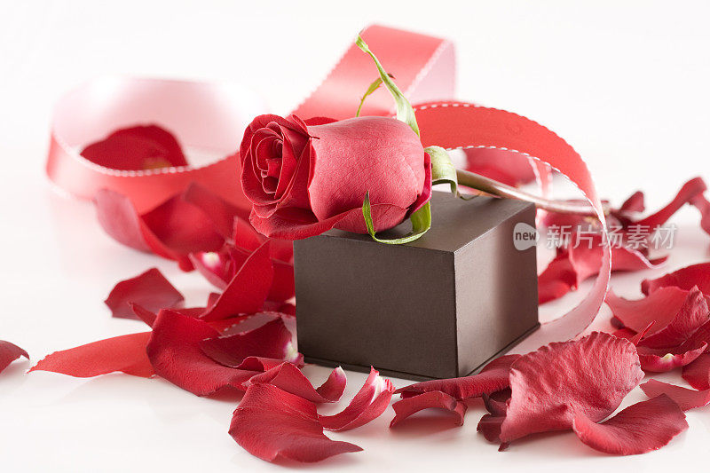 棕色首饰盒单红玫瑰，花瓣和丝带