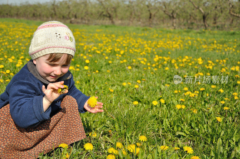 春天的草地上有个小女孩