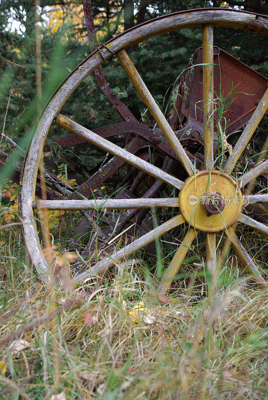 木制的轮子