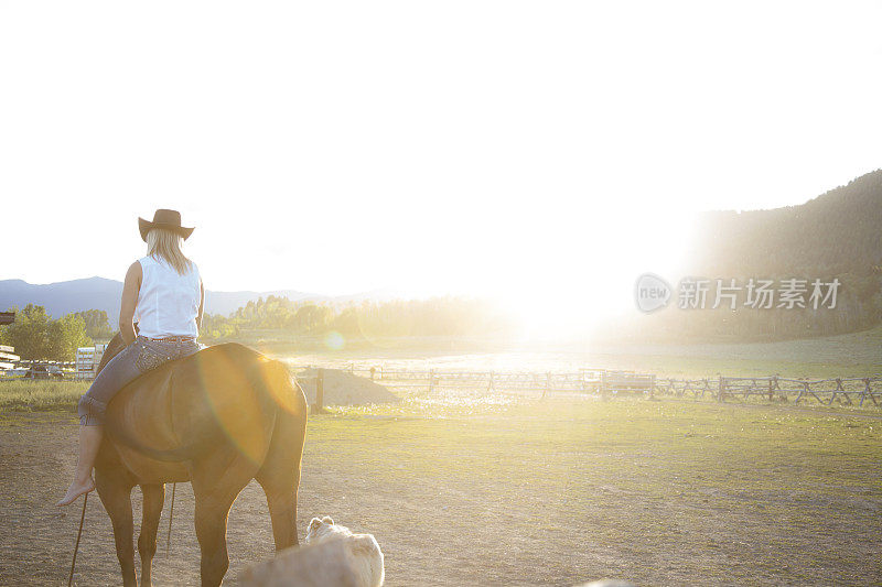 日落或日出时，女牛仔在牧场骑马。