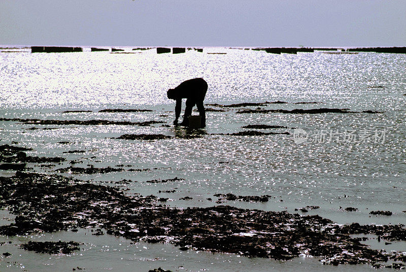 海滩