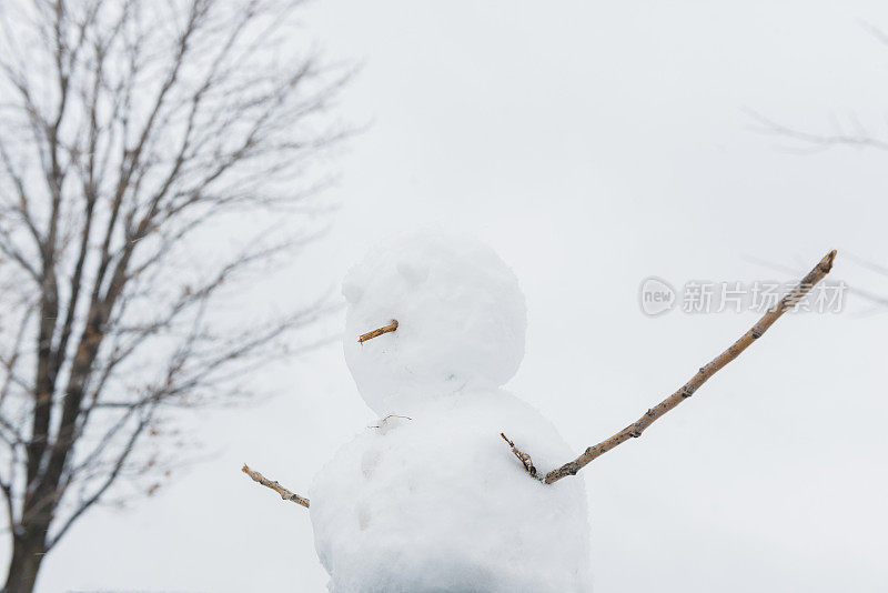 可爱的雪人在冬天在加拿大魁北克蒙特利尔