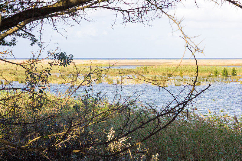 南非夸祖鲁-纳塔尔省的iSimangaliso湿地公园