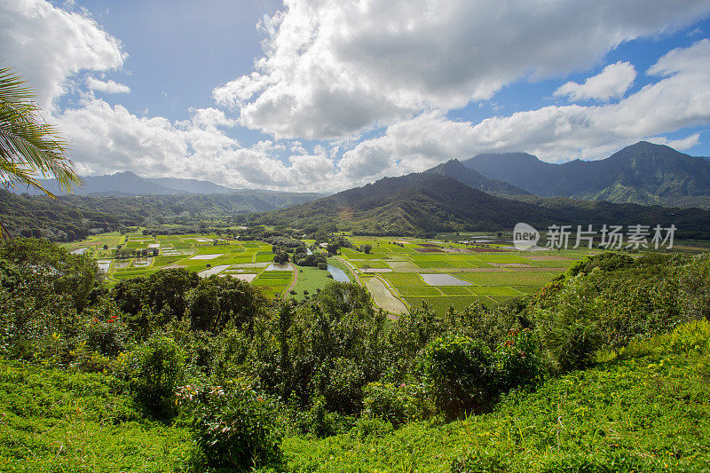 夏威夷考艾岛的哈纳莱伊瞭望台