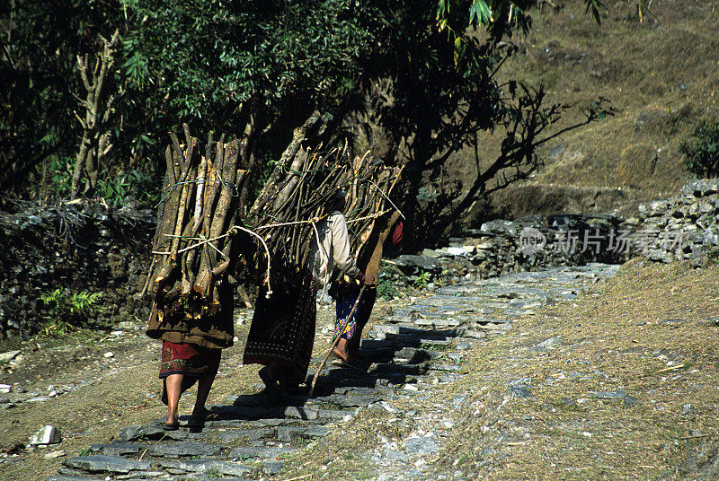 妇女们扛着柴火走上尼泊尔的小路