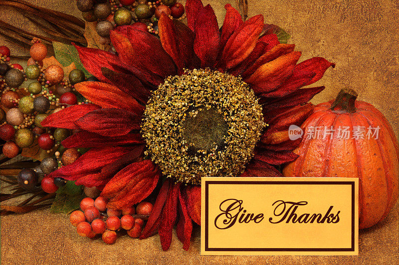 节日:感恩节静物，用南瓜，向日葵，感恩纸条