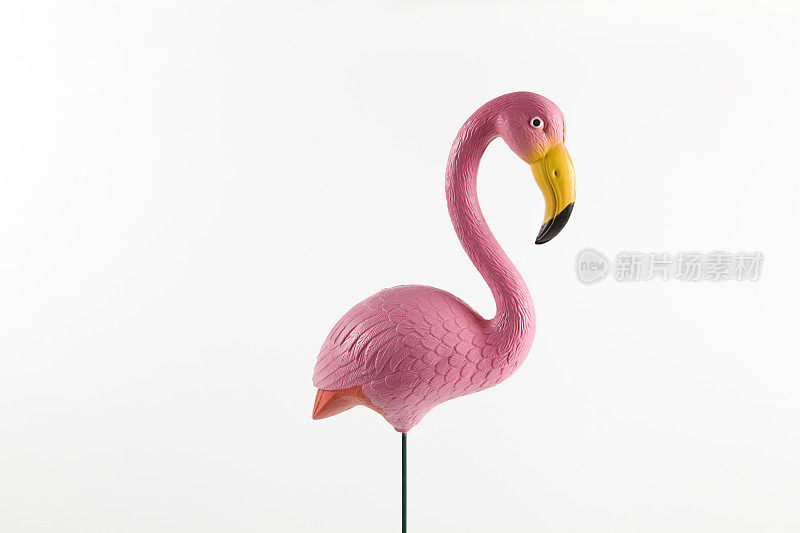 粉红色的塑料火烈鸟，粉红色的背景
