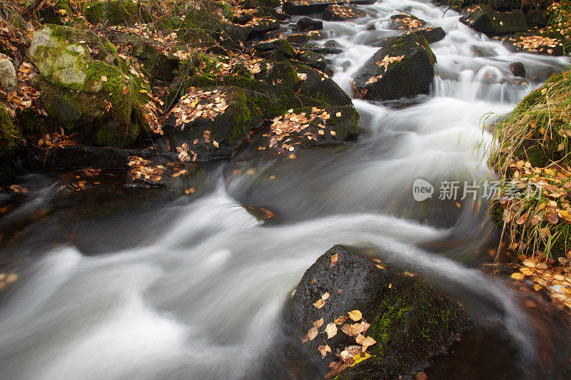 小溪急流，长曝，秋