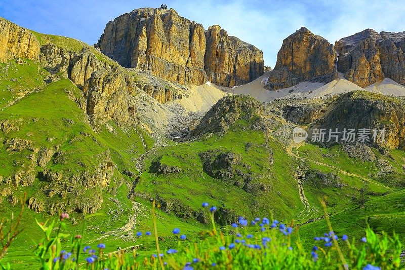 SAS波多多山口、鲜花、白云石、意大利泰洛阿尔卑斯山