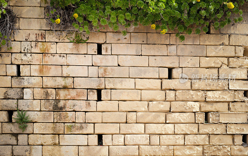马耳他石灰石墙
