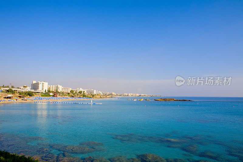 无花果树海滩塞浦路斯